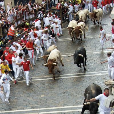 Run with bulls in Pamplona, Spain