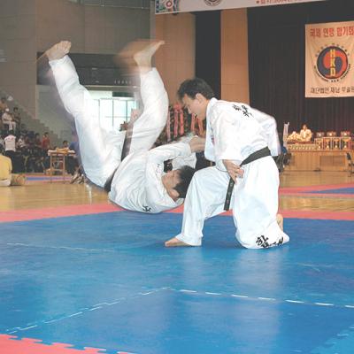 Hapkido
