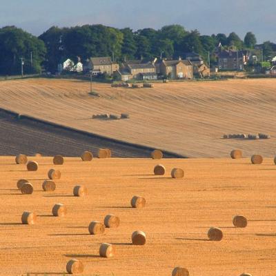 Make hay while the sun shines