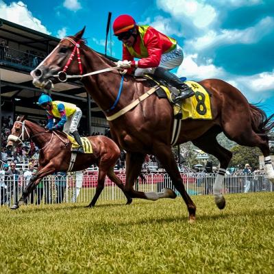 Back a winning horse