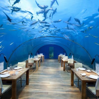 Have Cocktails Under the Sea at Conrad Maldives Rangali Island