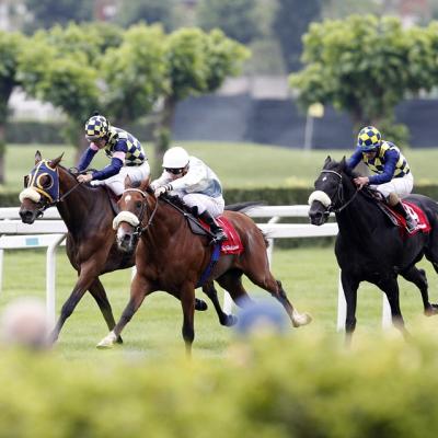 Make a bet on a horse race