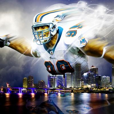 See a Miami Dolphins game