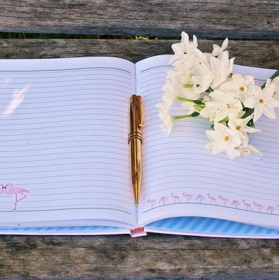 Keep a daily gratitude journal