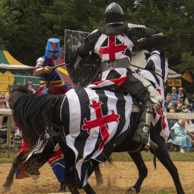 Watch a Medieval Joust