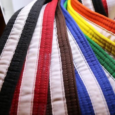 Get a 5th DAN in karate