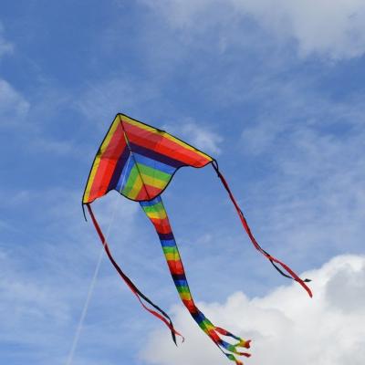 Make a kite