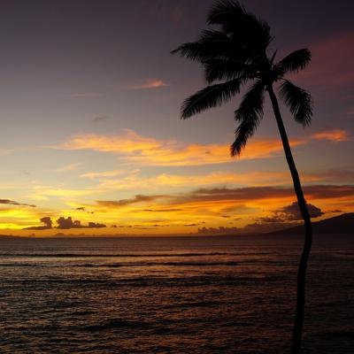 See a Hawaiian sunset