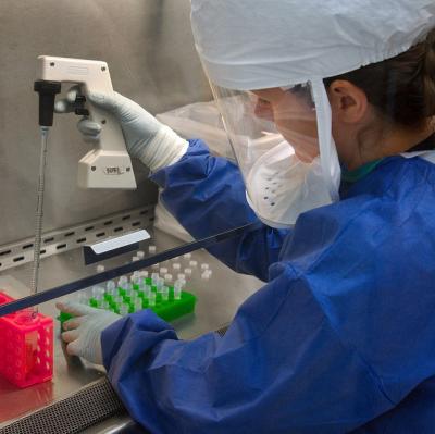 Become a micrbiologist