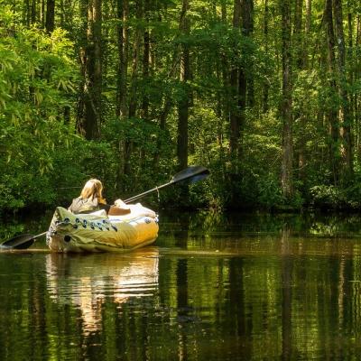 Kayak through a cypress swamp