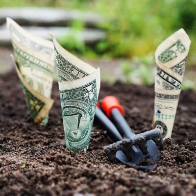 Start a retirement fund