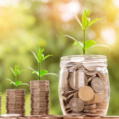 Learn how to invest money