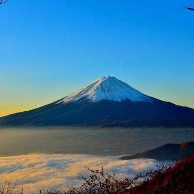 Climb Mount Fujii