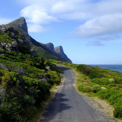 Drive down garden route from Knysna to Cape Town