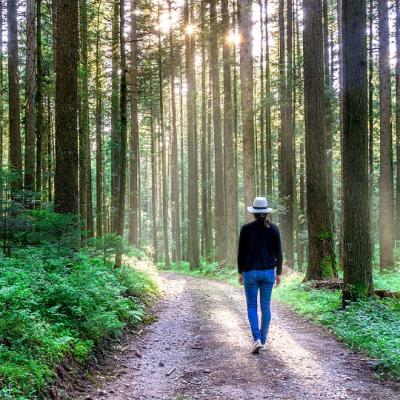 Walk over 1000 km in a year