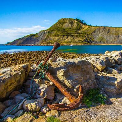 Find a fossil on the Jurassic Coast (Dorset England)