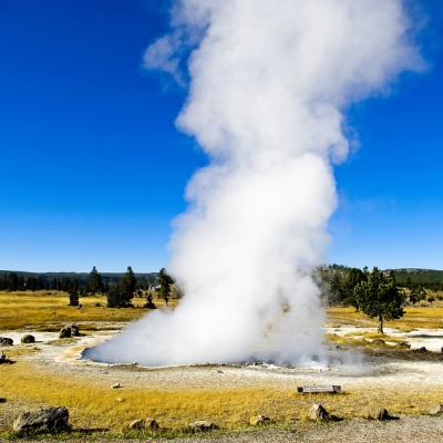 See a geyser up close