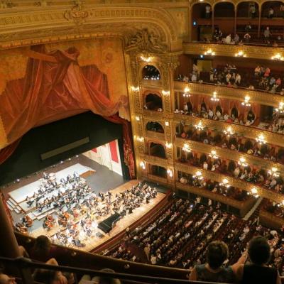Attend a performance of a symphony orchestra