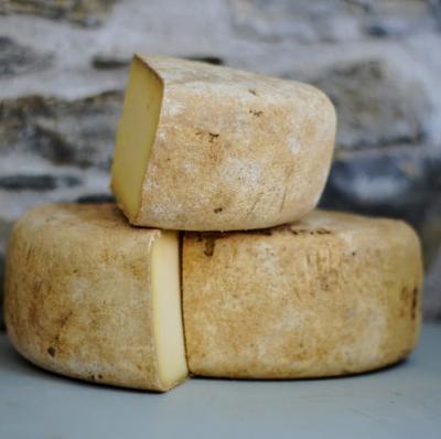 Learn how to make cheese