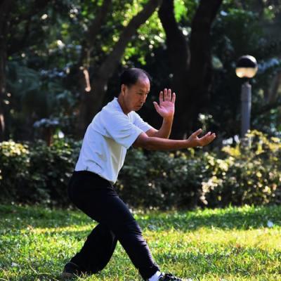Master Tai Chi