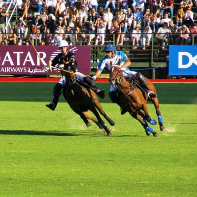 Watch a polo match