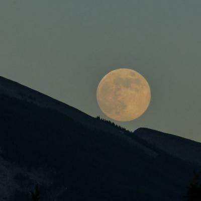 Do a Full Moon Hike