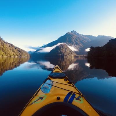 Kayaking in Milford Sound