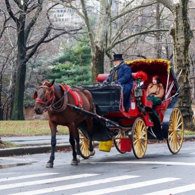 Ride in a horse drawn carriage around Central Park