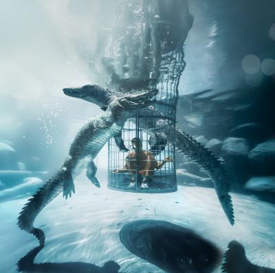 Crocodile cage diving