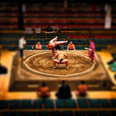 Watch a sumo wrestling match