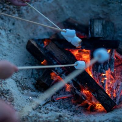 Toast marshmallows over a campfire