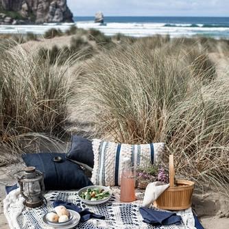 Picnic on the beach