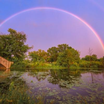 Witness a perfect rainbow
