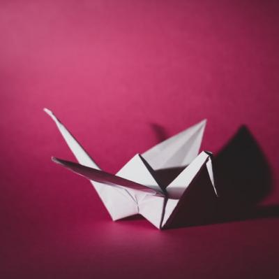 Learn how to fold origami