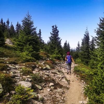 Walk the Appalachian Trail