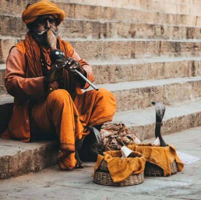 Watch a snake-charmer