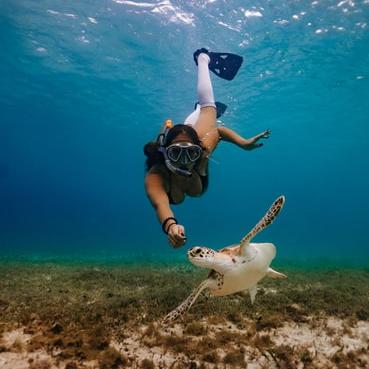 Swimming with turtles