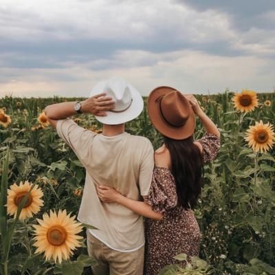 Wander through a sunflower field