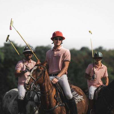 Watch a game of polo