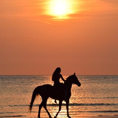Ride a horse on a beach at sunset