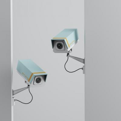 Go 24 hours without being caught on a security camera