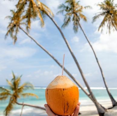 Drink from a coconut at the beach