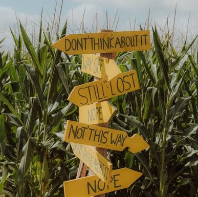 Navigate a route through a Maize maze