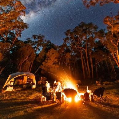 Camp out in the woods
