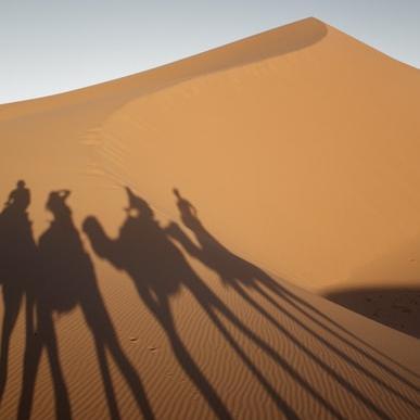 Camel trekking in the desert
