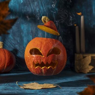 Learn to carve a pumpkin