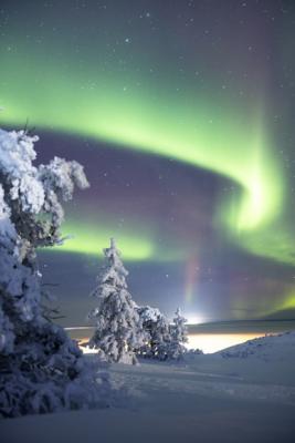 Witness the Northern liughts (Aurora Borealis)