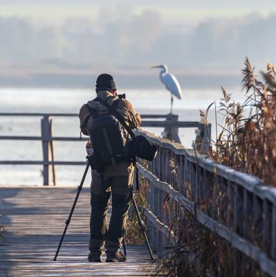 Take an amazing photograph