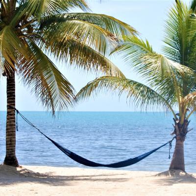 Lay in a beach hammock