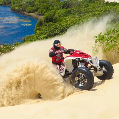 Ride a quad bike over sand dunes